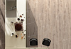 картинка Ламинат Alpine Floor Legno Extra L1004 Дуб Тайга от магазина Сильный пол
